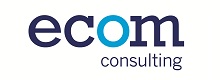 ecom consulting